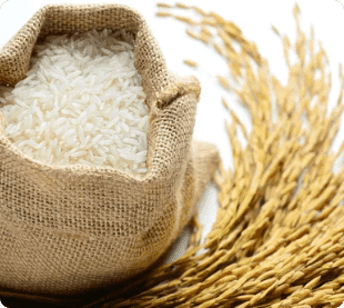 Premium Rice Products